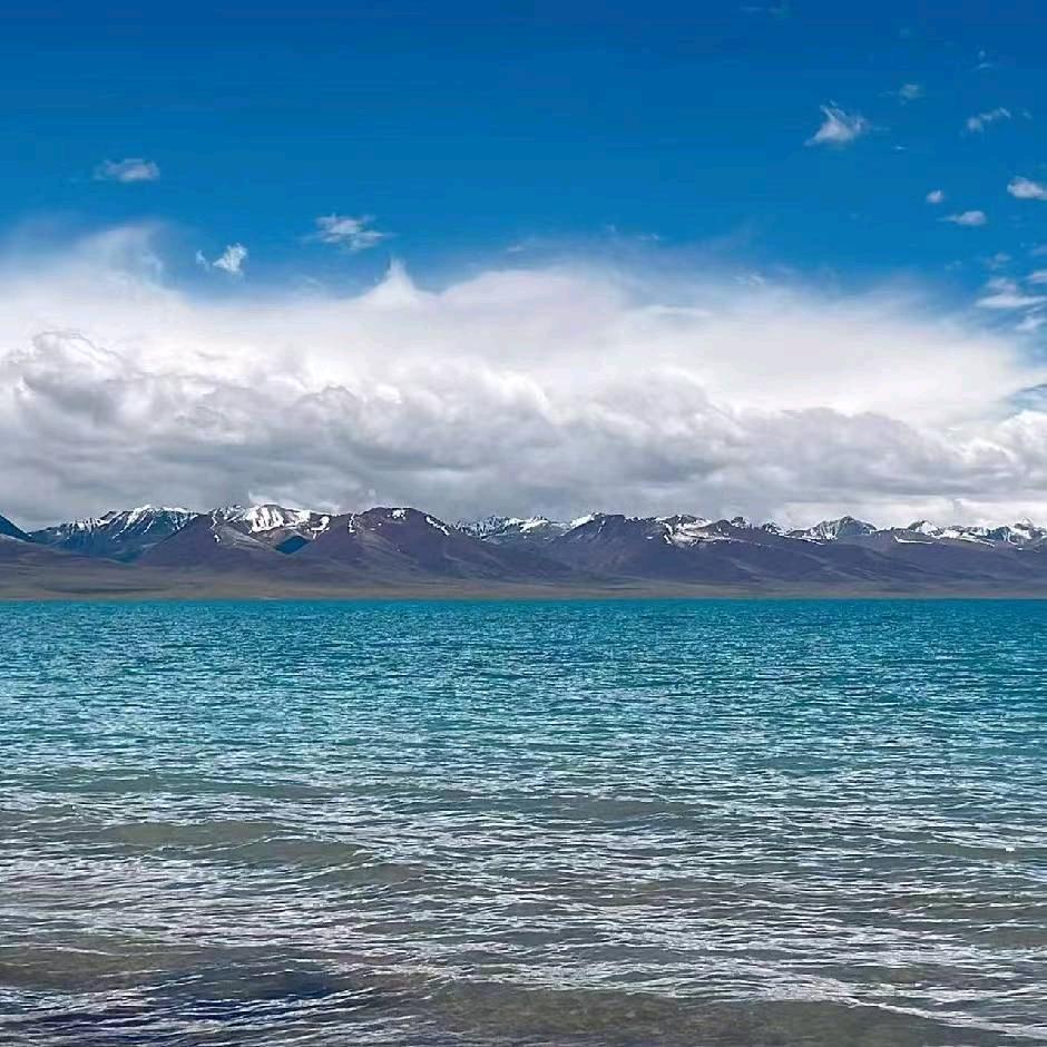 李家大欣欣（好运就在2026）