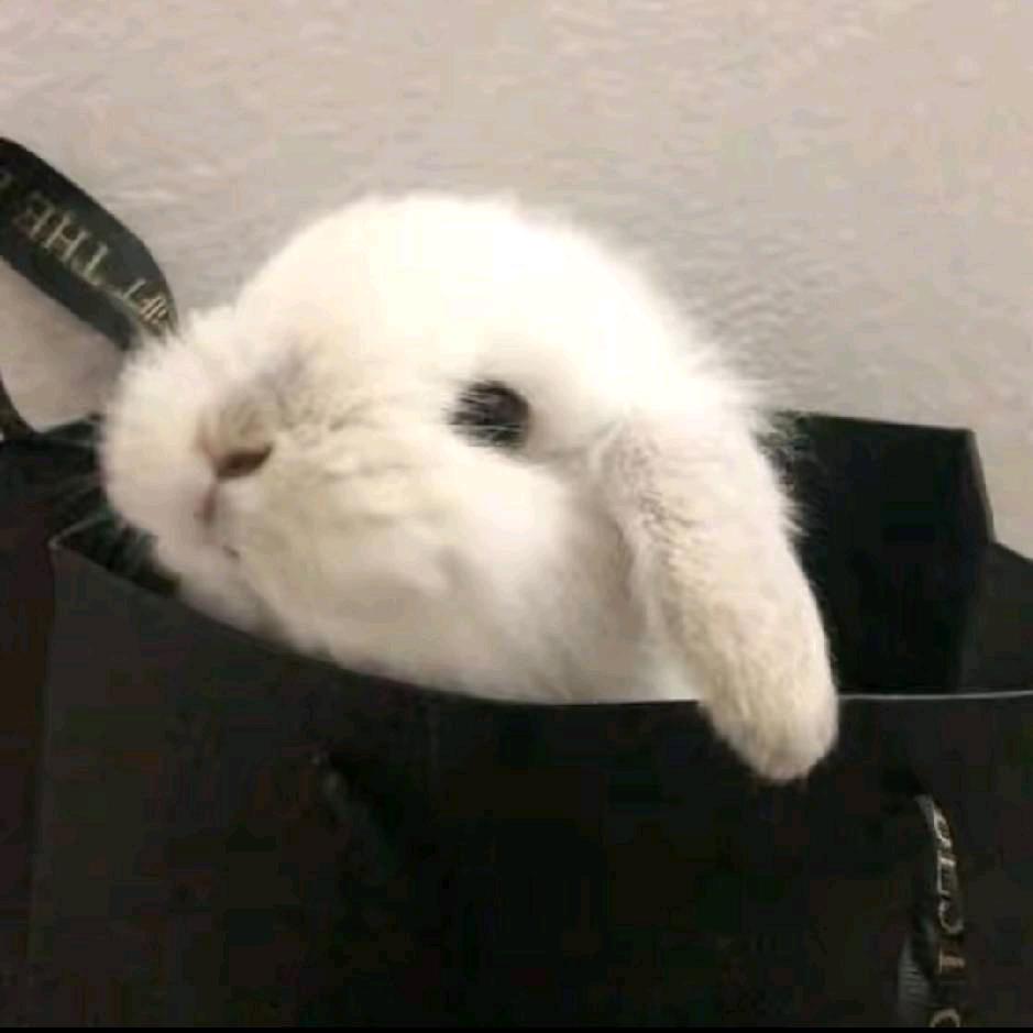 好久不见