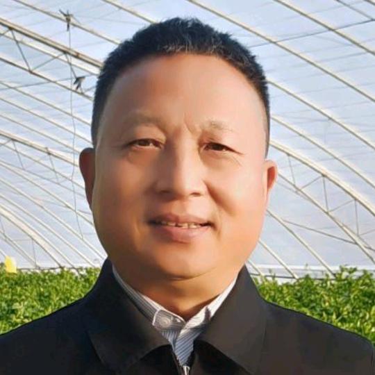 孙保强(驻村第一书记)