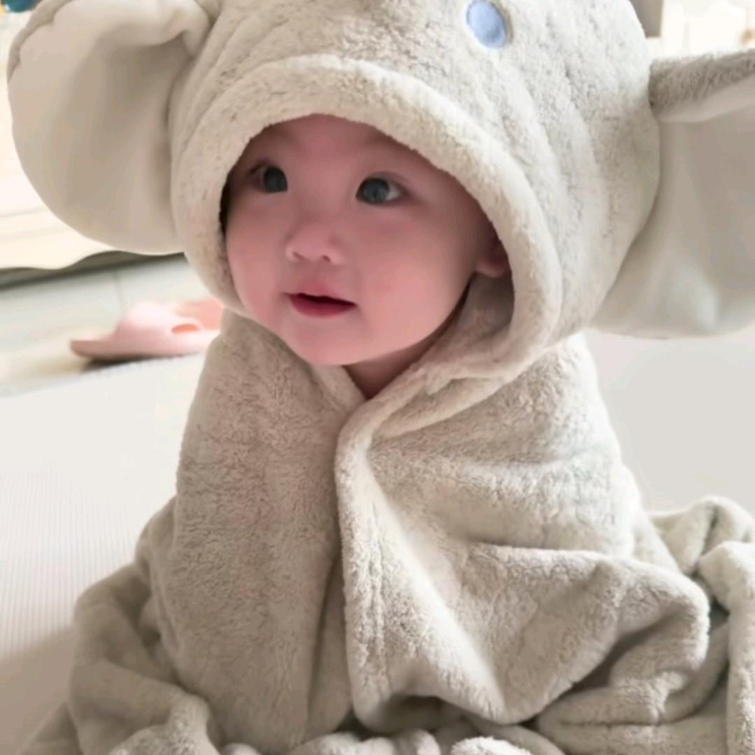 船长和小狗김민규