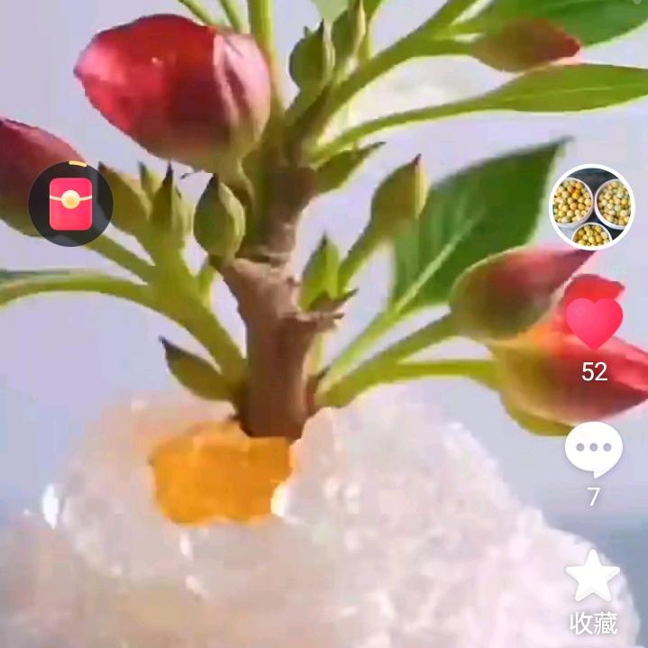 知足常乐