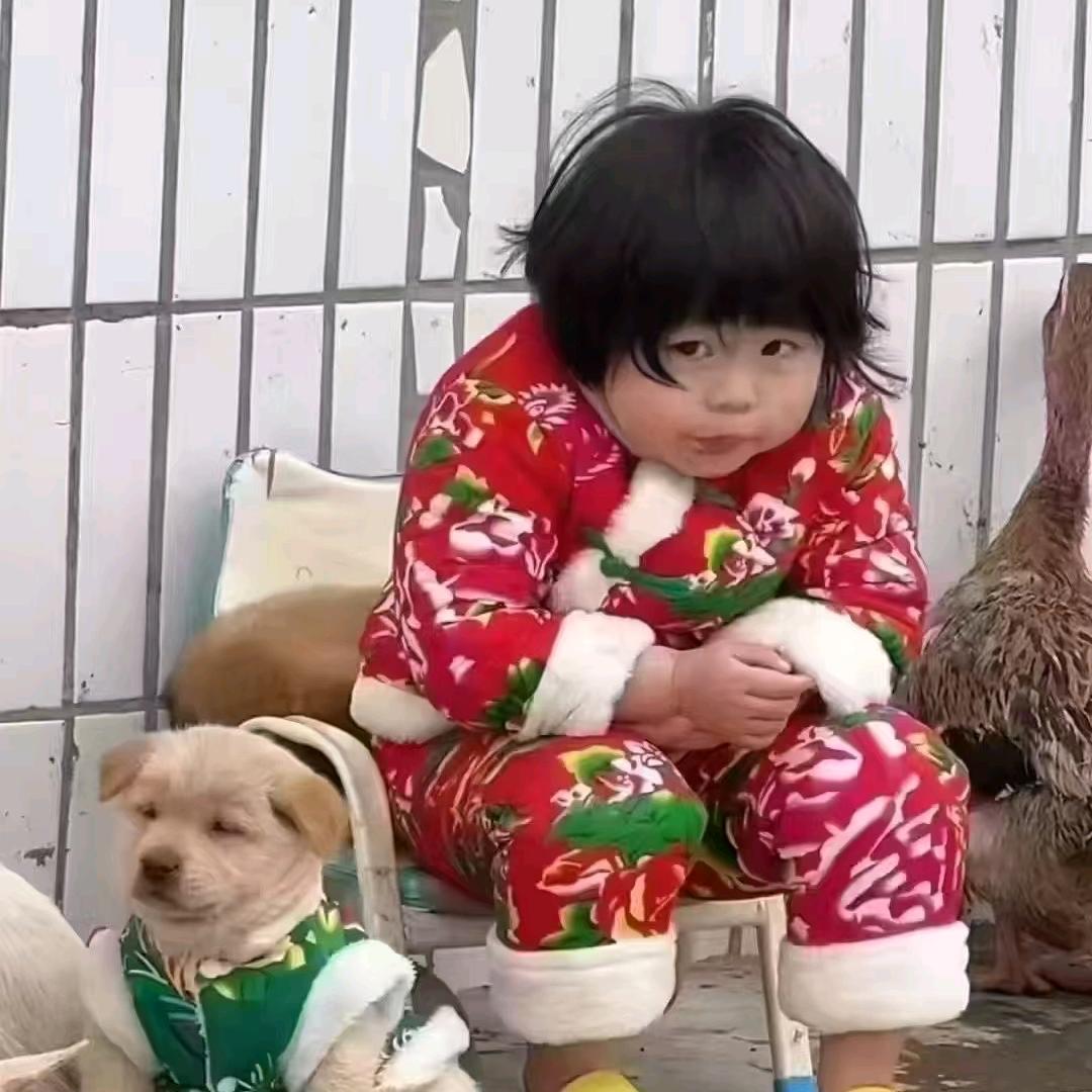 十二吖～