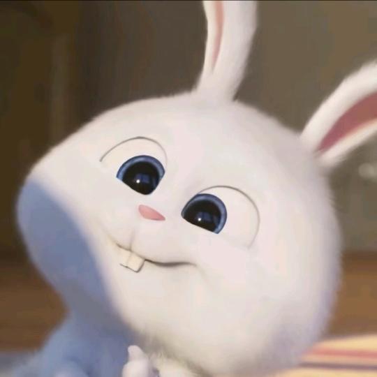 比奇堡的金鱼儿