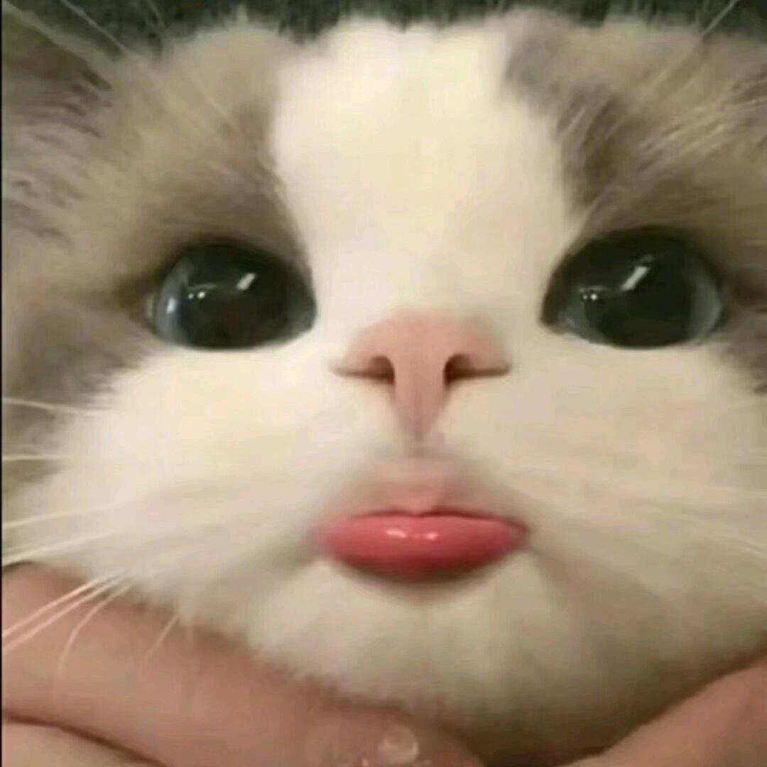 𝓙、旺仔