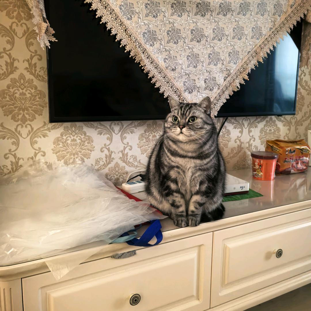 _ 👽 _