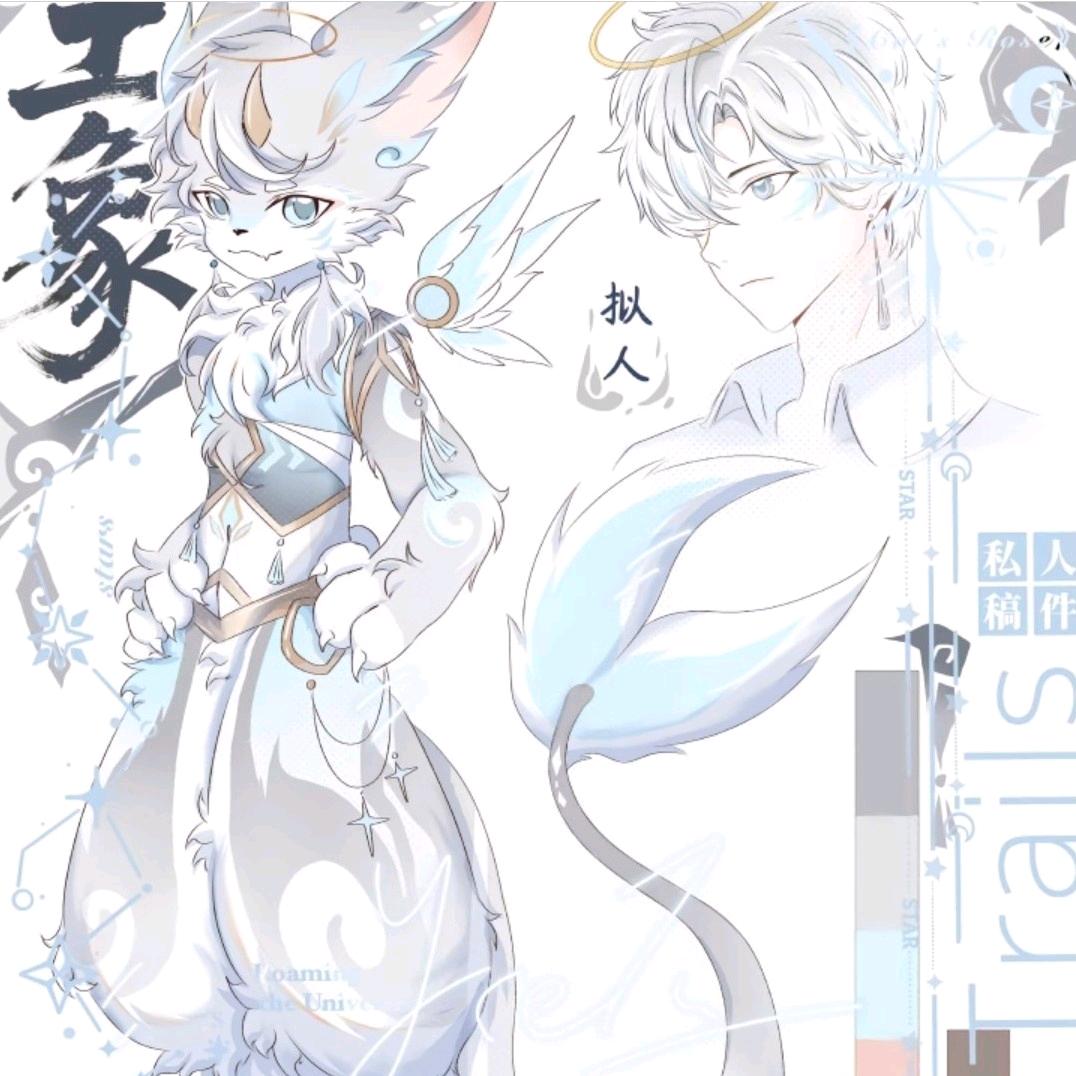 土象