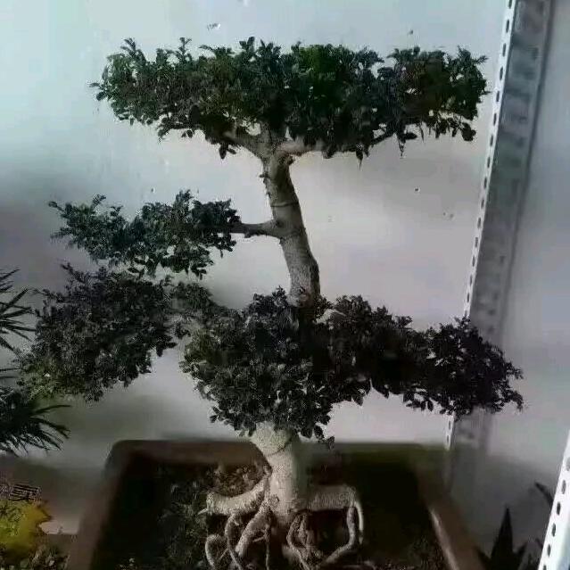 快乐