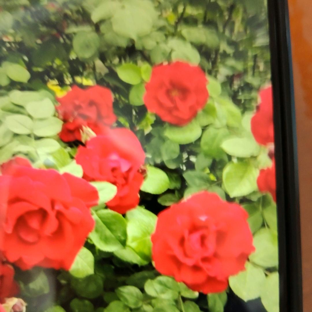 阿莲