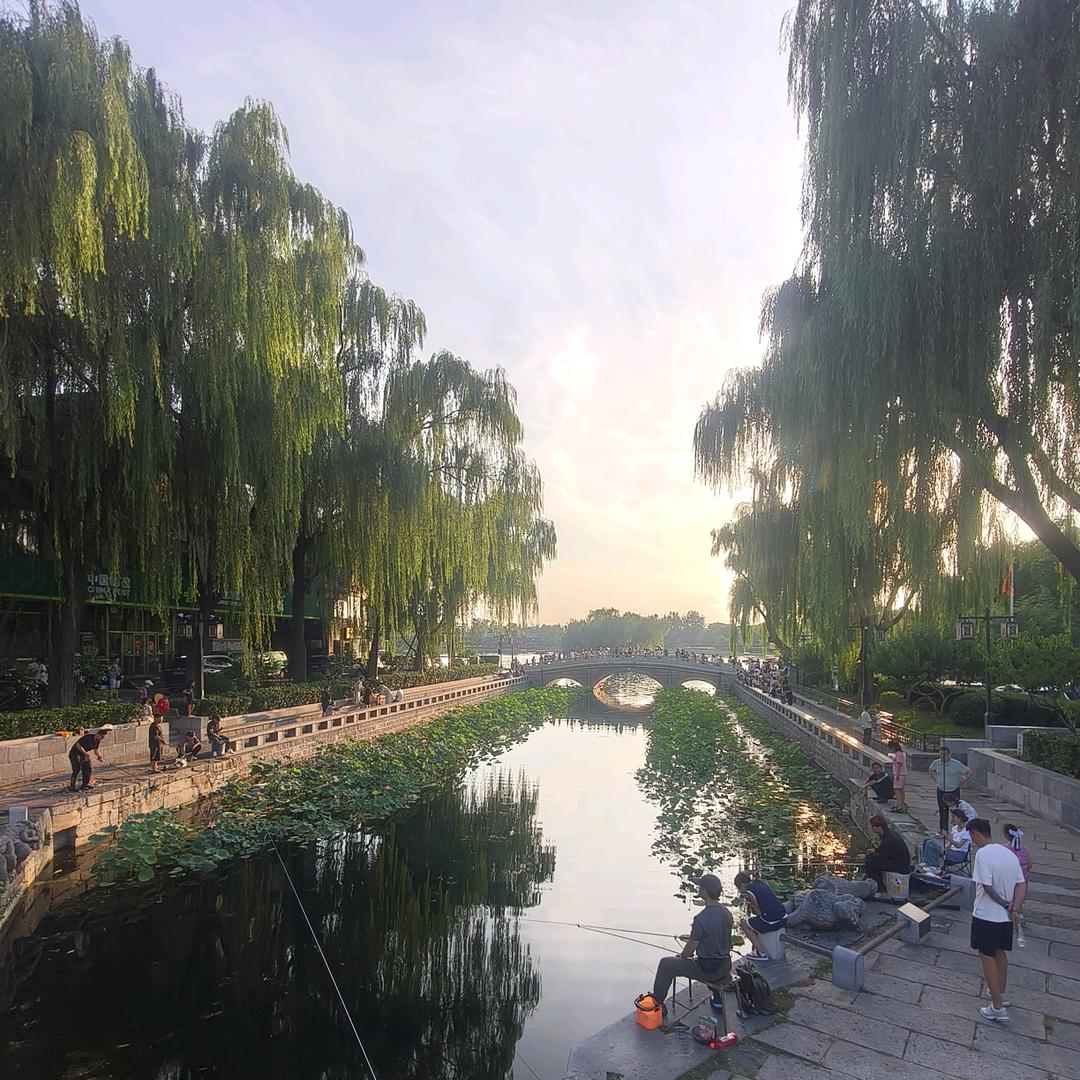 情感世界