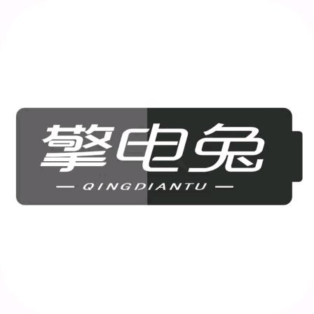 上海擎电兔锂电