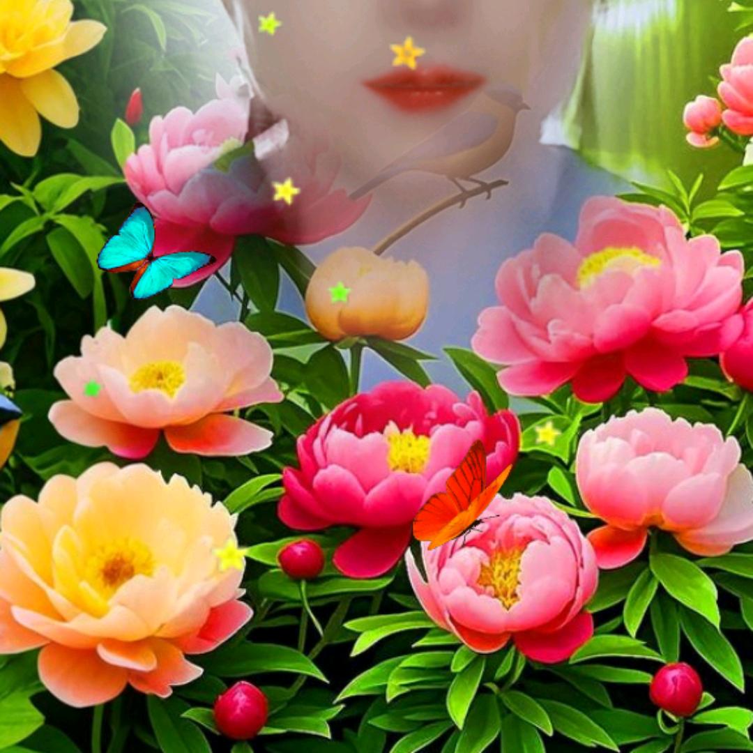 平平安安健健康康