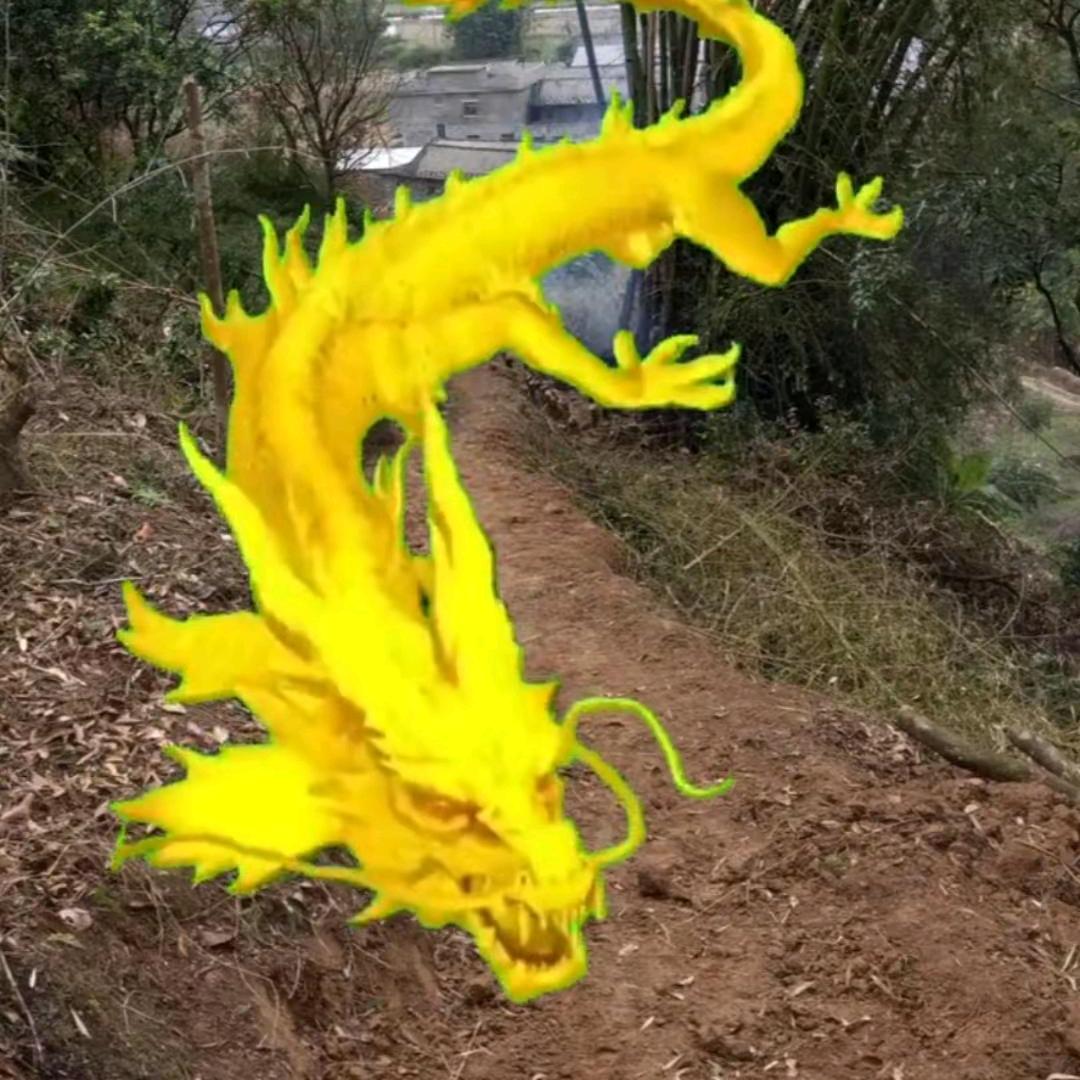 飞羊