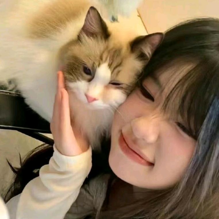芭菈🐾