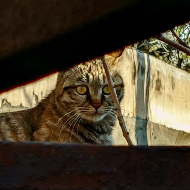 。。。。，，，