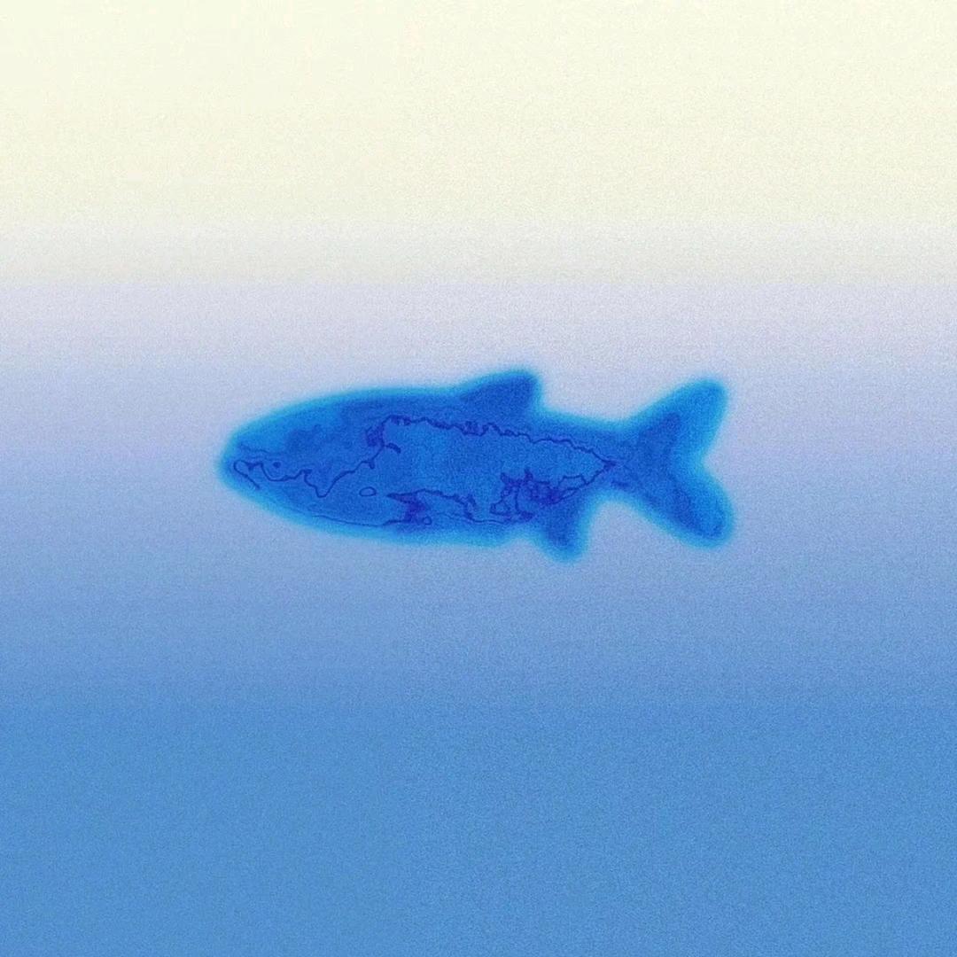 ̑̑ᗦ↞◃