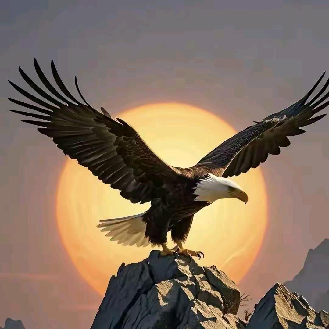 🍁☪清枫⁵²º🍁