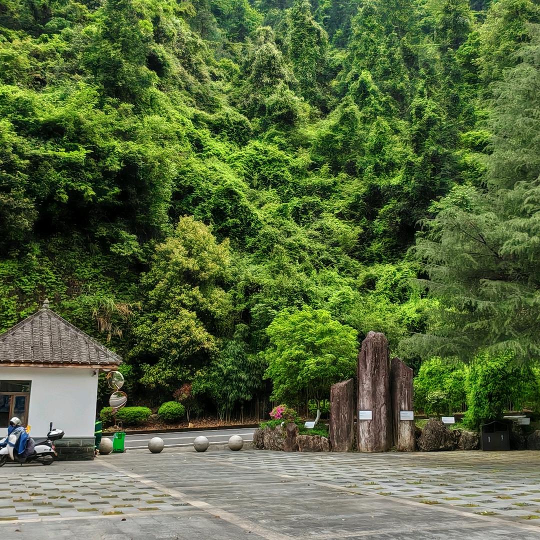 🐾开心✧٩(ˊωˋ*)و✧