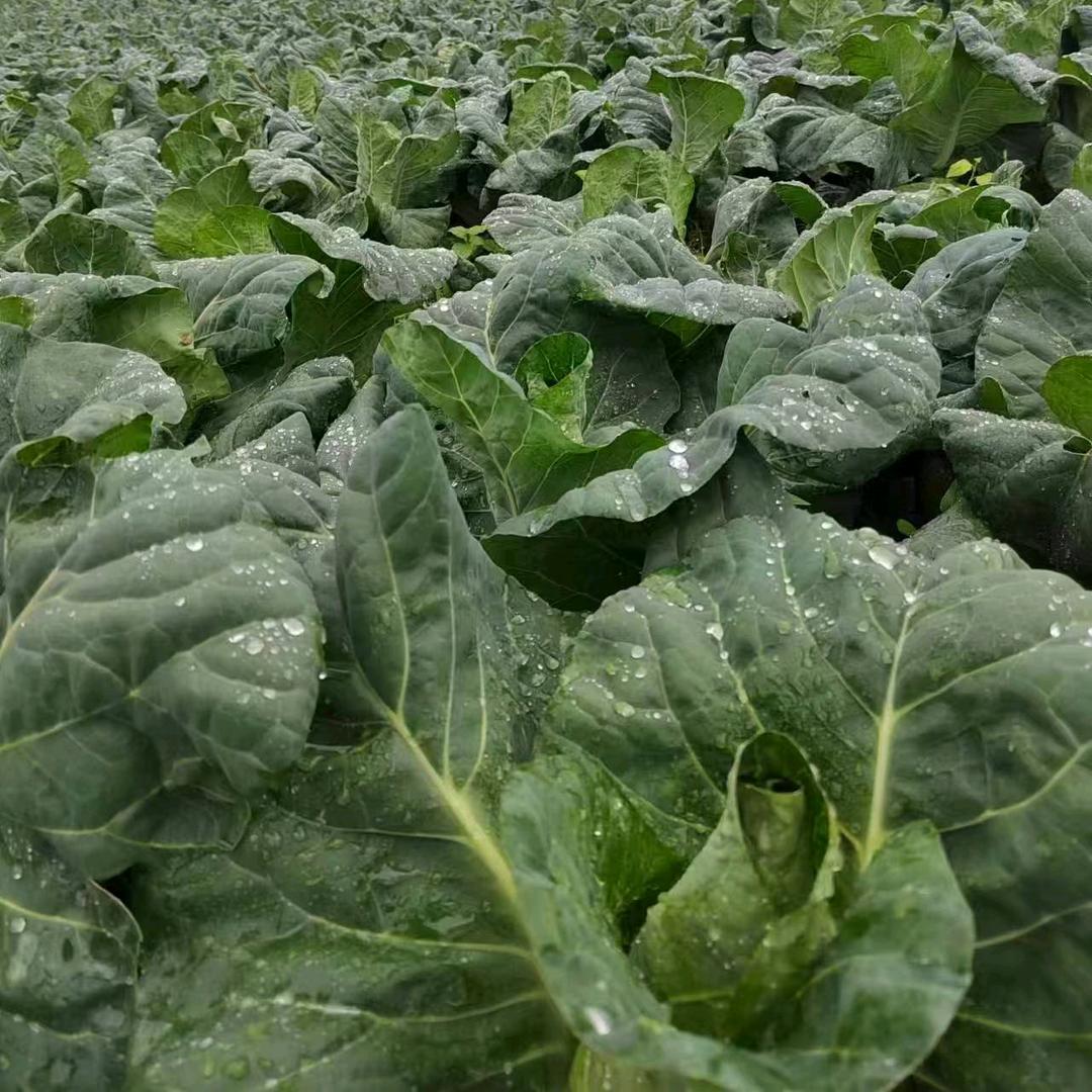 昭通市昭阳区源启传媒有限公司