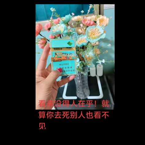 姐姐只爱你