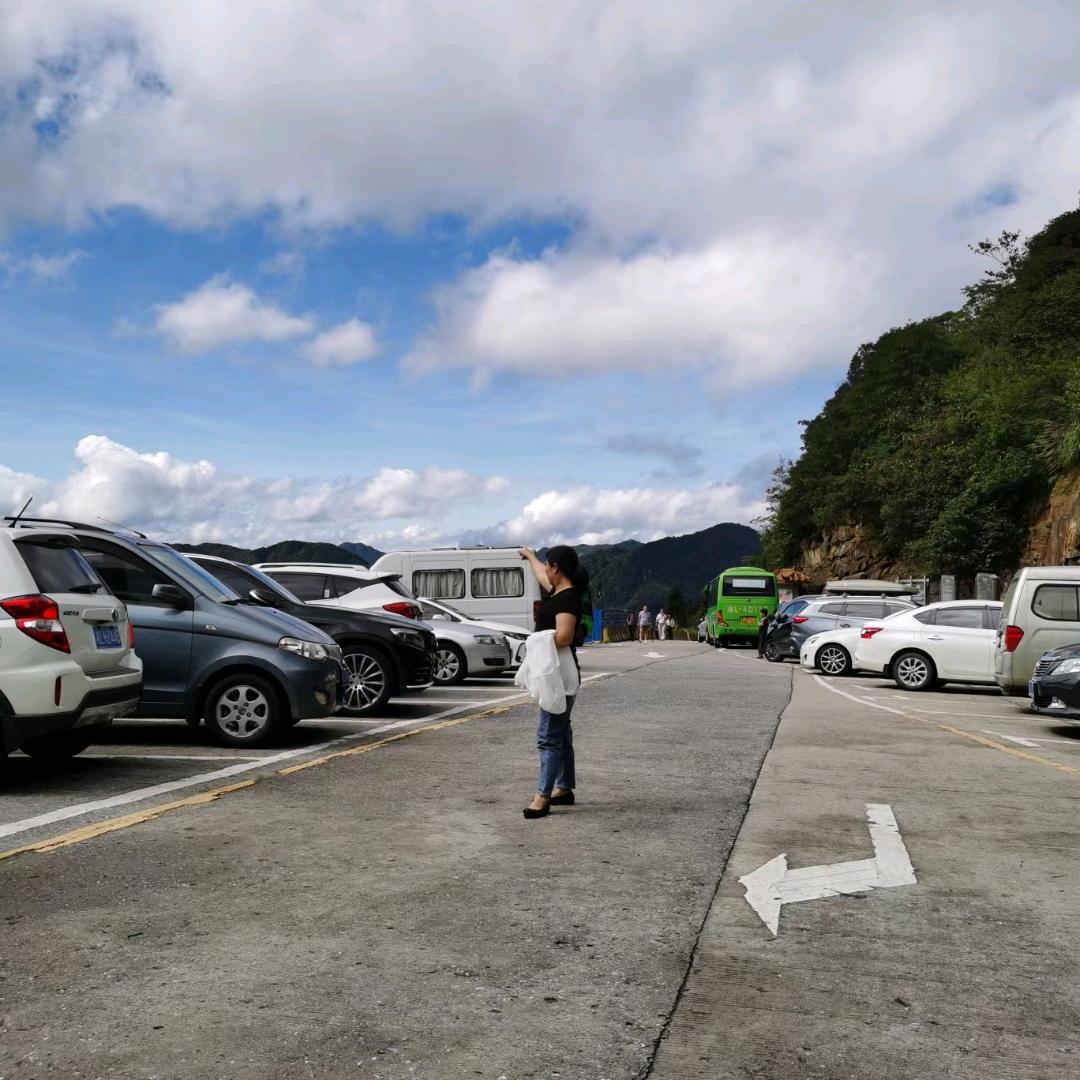 莽山黄姐