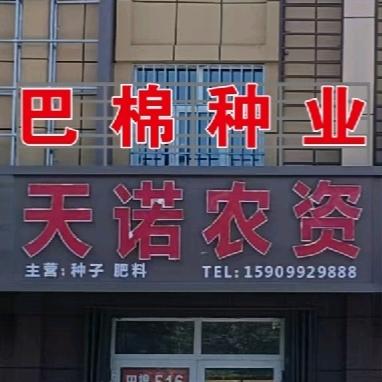 巴棉种业