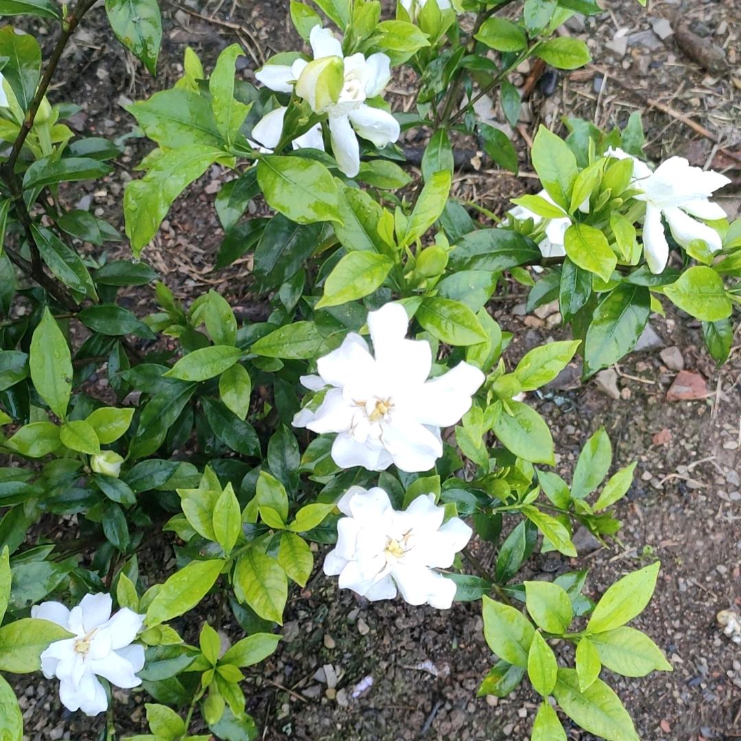 感悟