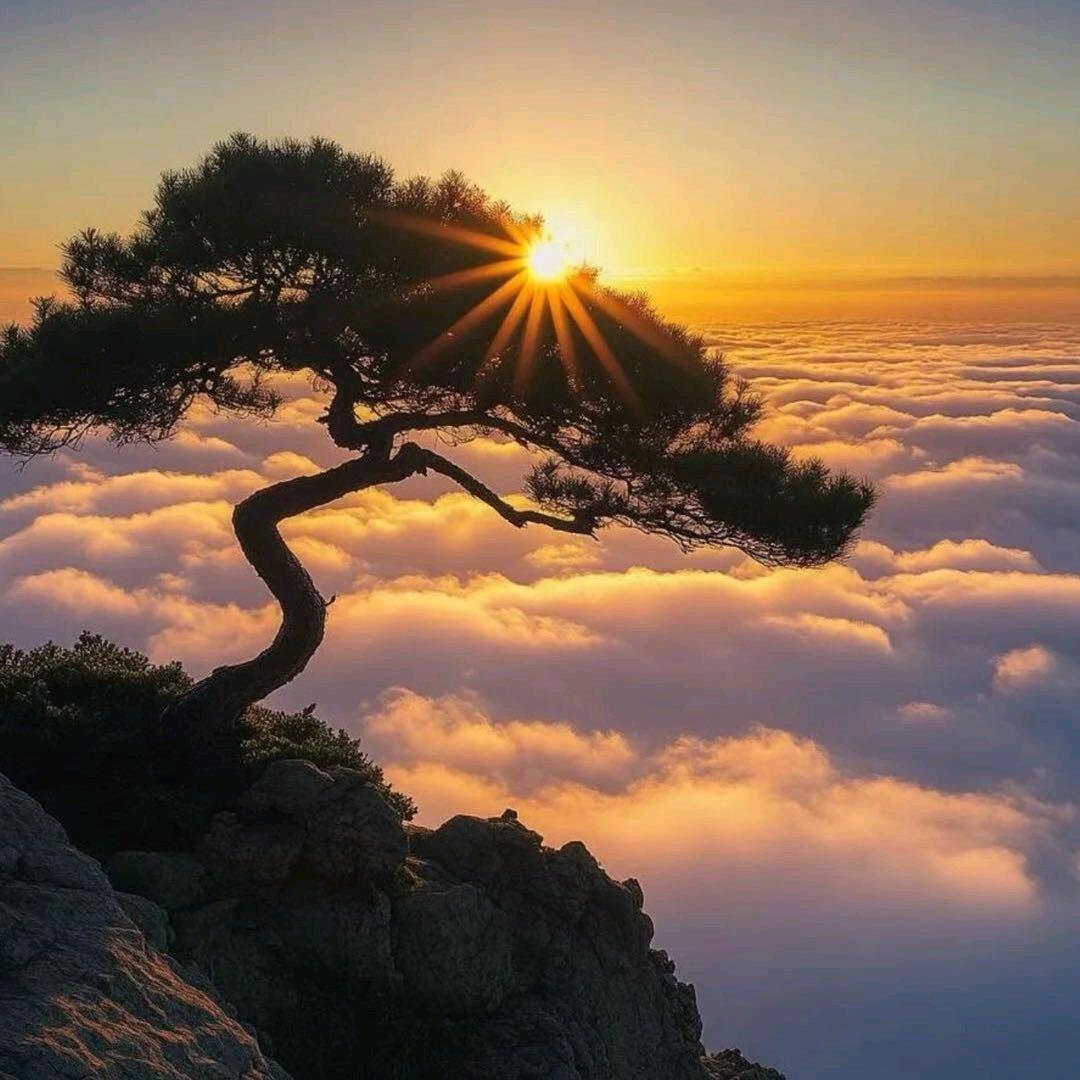 福如山岳