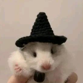 打游戏坑了憋着