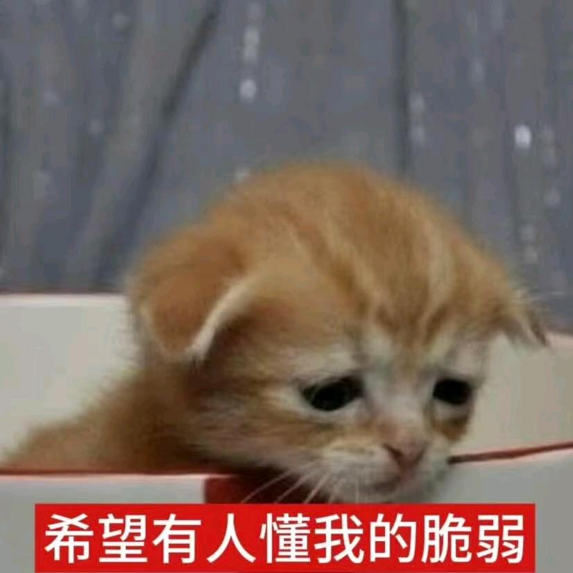 随便吧