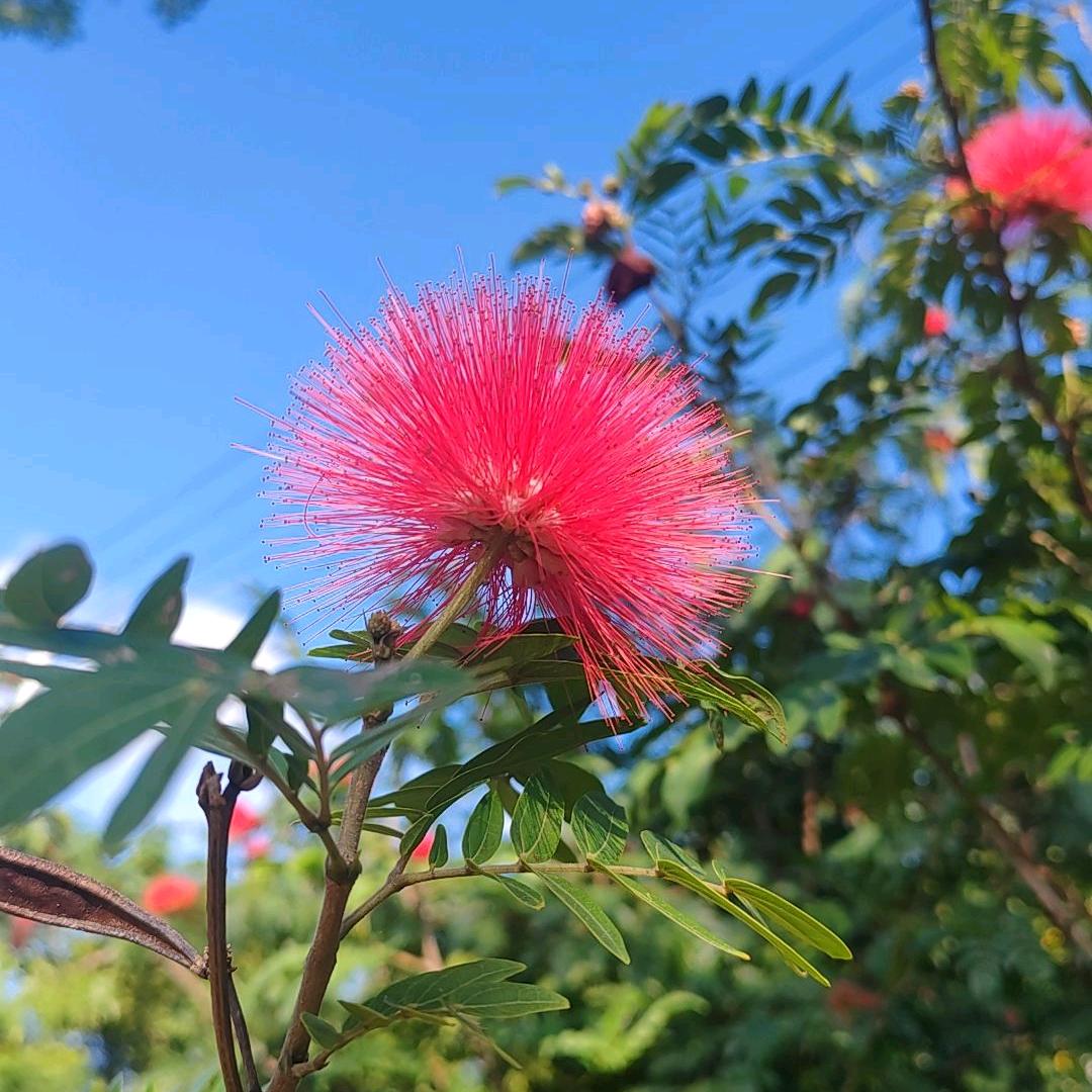 爱财爱己，风生水起
