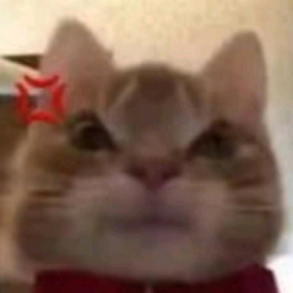 永恒🤔