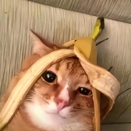 世界上最后一只三角龙