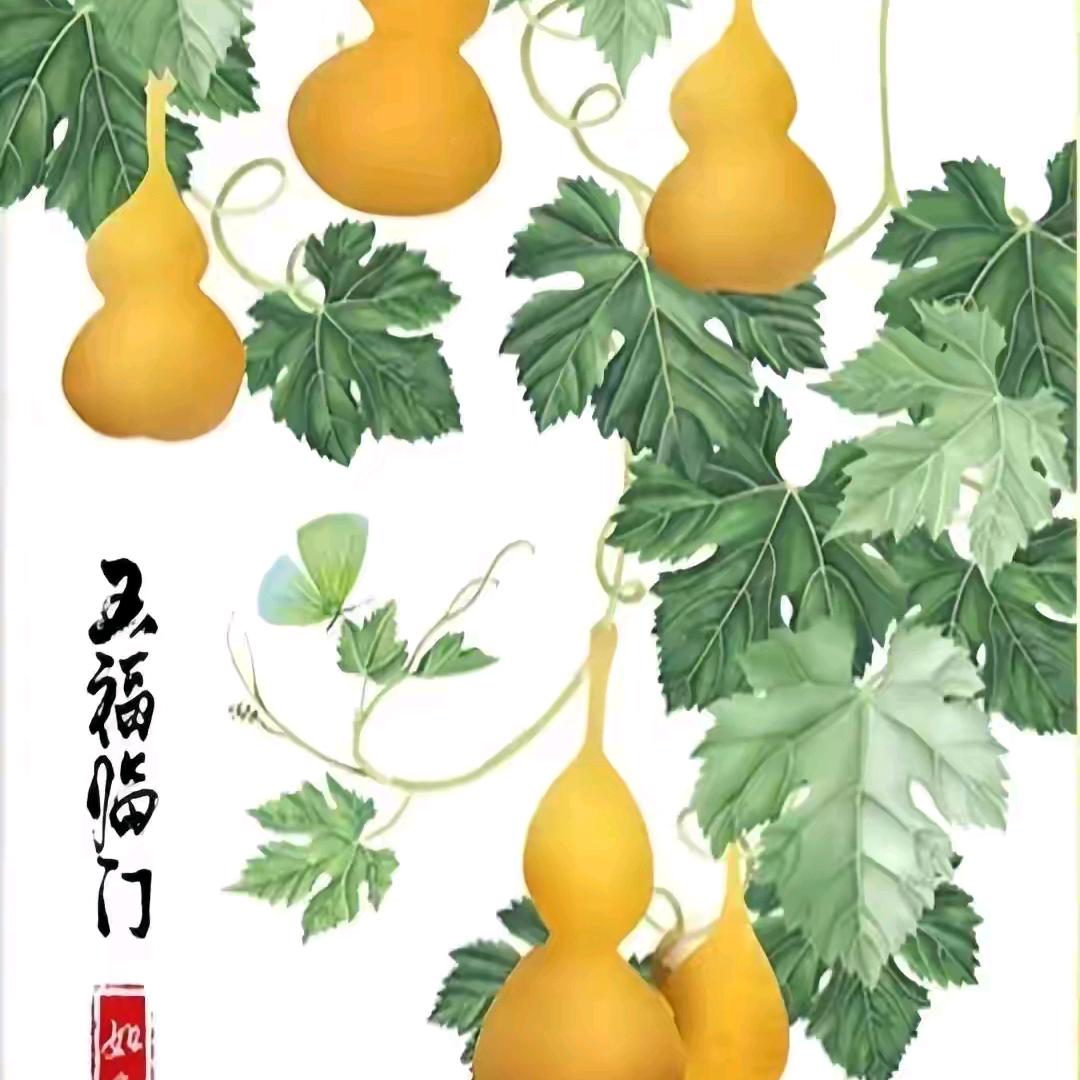 老汉