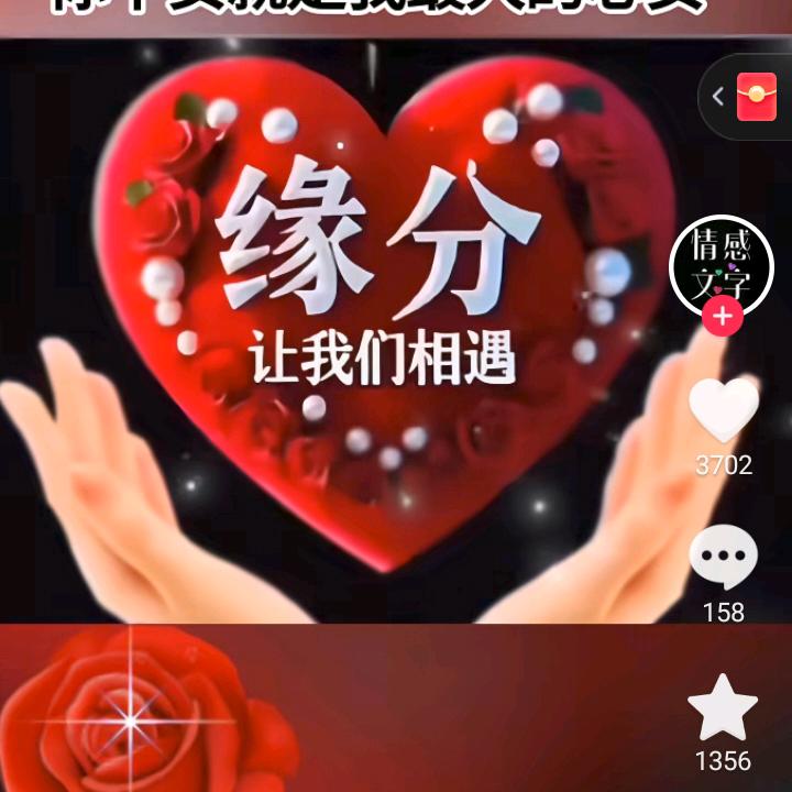 真情留给懂我的人