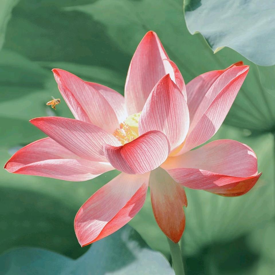 小苏穿搭推荐