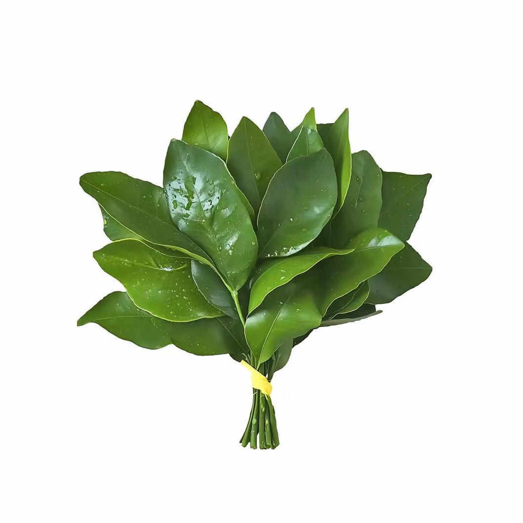 钱从四面八方来