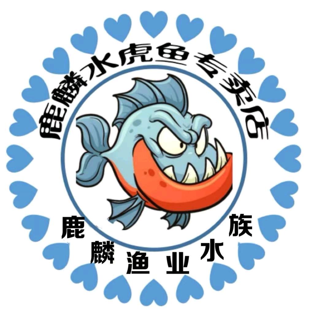 鹿麟渔业水族