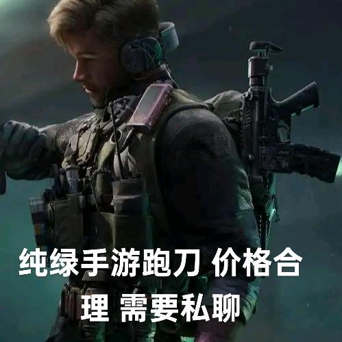 锦鲤艾麟一（三角洲行动手游）