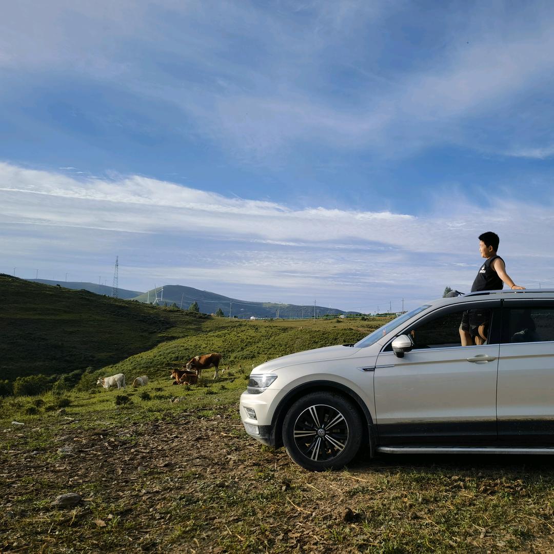 再见，只是陌生人。