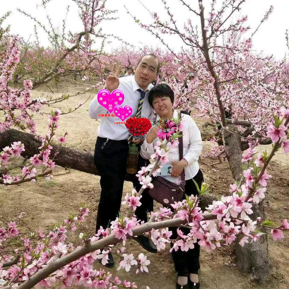 二姐说事儿{二}