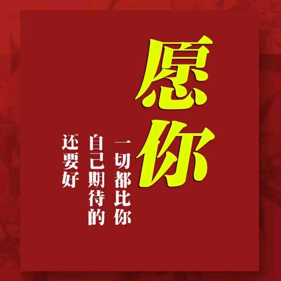 养猪日记