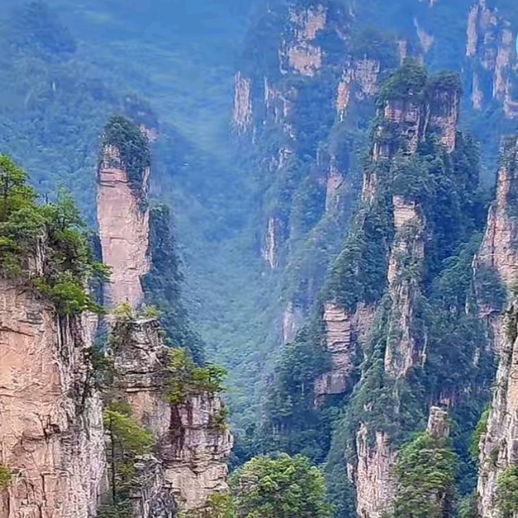 真诚，永远是谎言