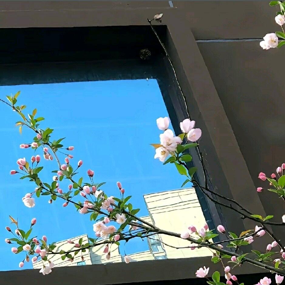 在杭州的和和