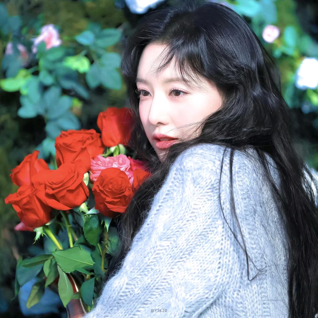 灵芝