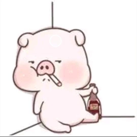 微 醺🐷