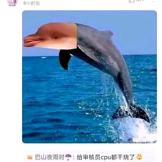 教诲不倦-司马徽