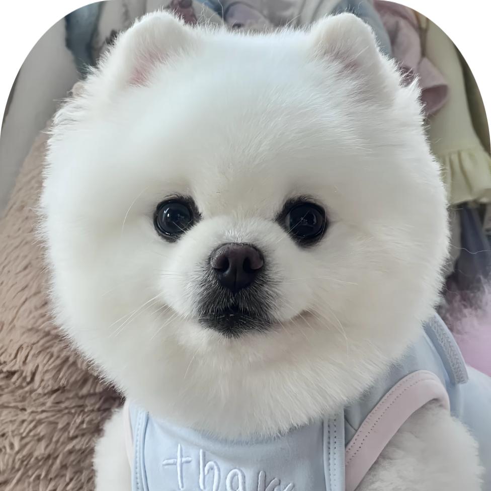 小酒窝