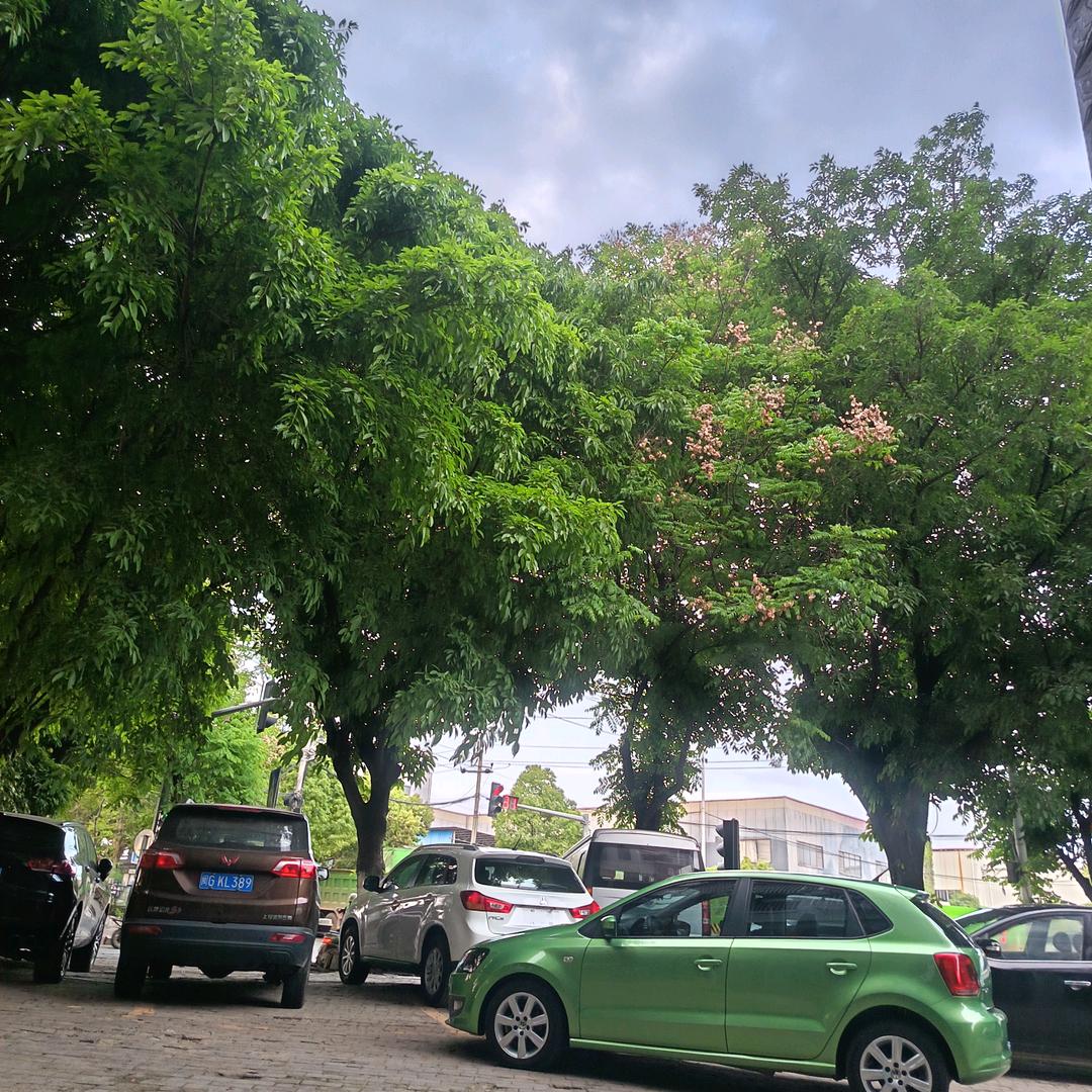 车盈汽车