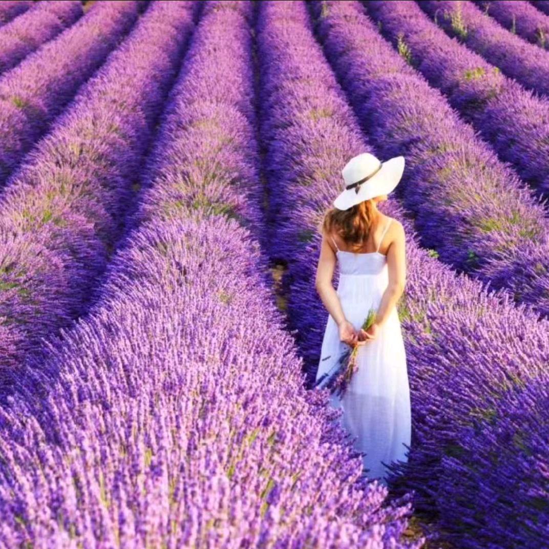 小爱🎤（首播）