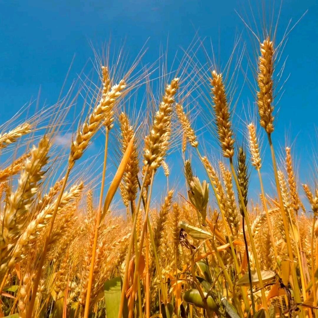 蓉蓉（拒绝私聊）